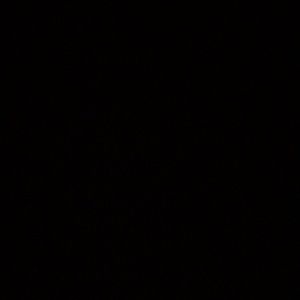 Meet your Posher, Evelin